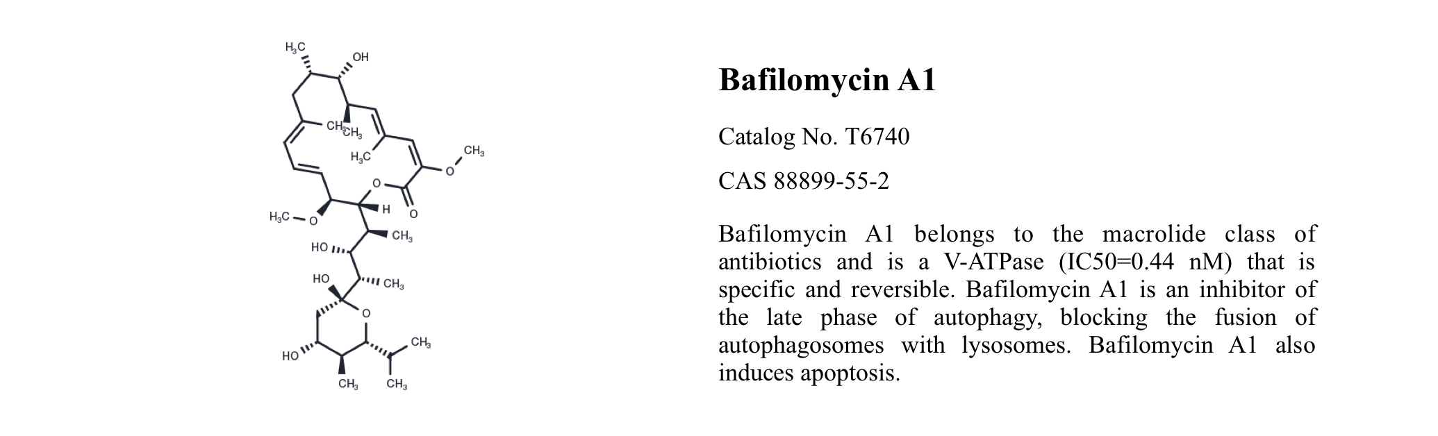 WIKIMOLE—Bafilomycin A1 & Rapamycin