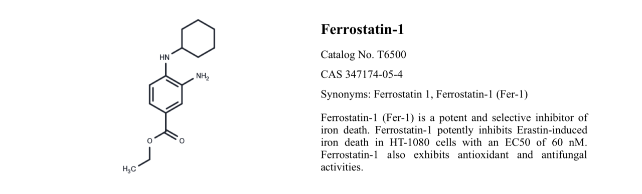 WIKIMOLE—Ferrostatin & Deferoxamine mesylate