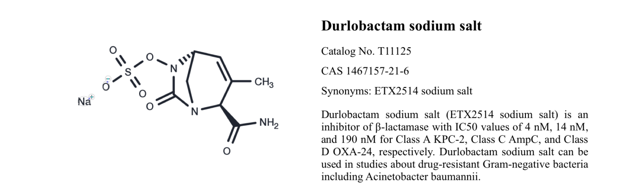 WIKIMOLE—Durlobactam