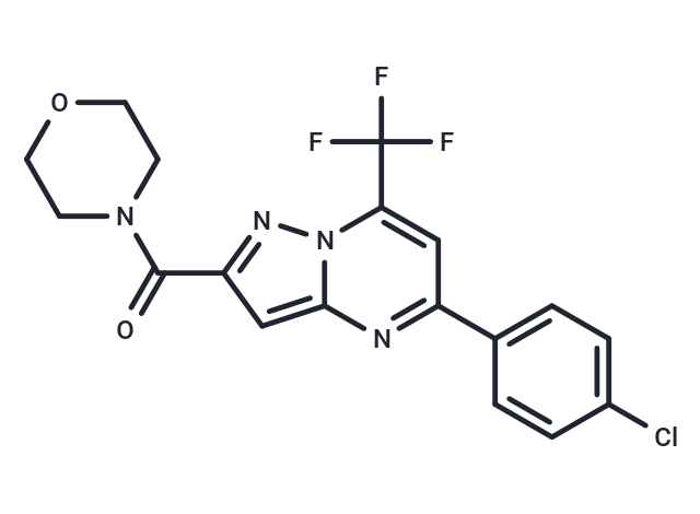 Acetamide, N-(5-amino-2-(octyloxy)benzyl)-