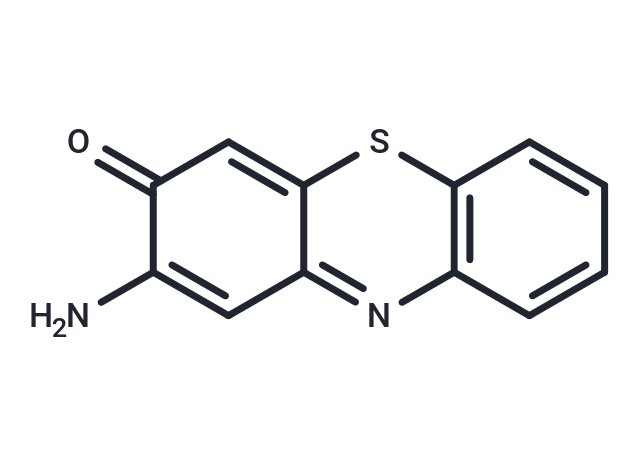 Questiomycin A derivatives 24