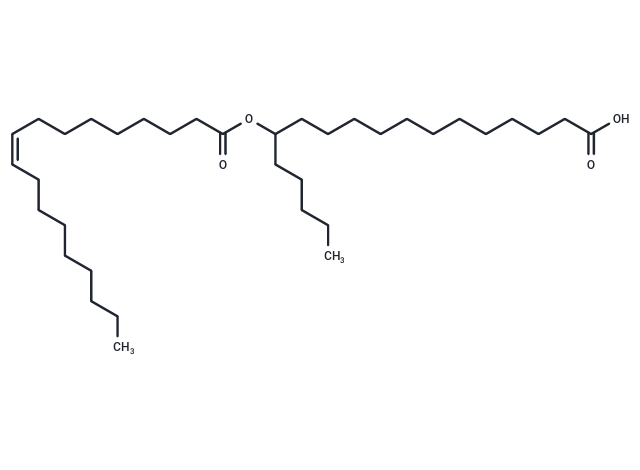 13-OAHSA