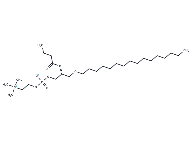 Butanoyl PAF