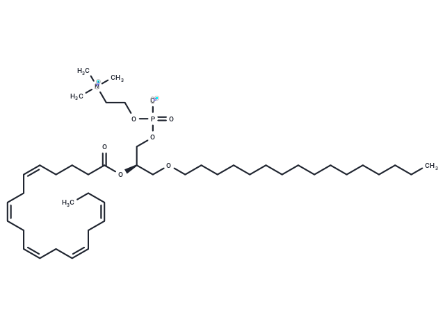 1-O-hexadecyl-2-Eicosapentaenoyl-sn-glycero-3-PC