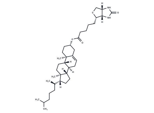 Biotin-cholesterol