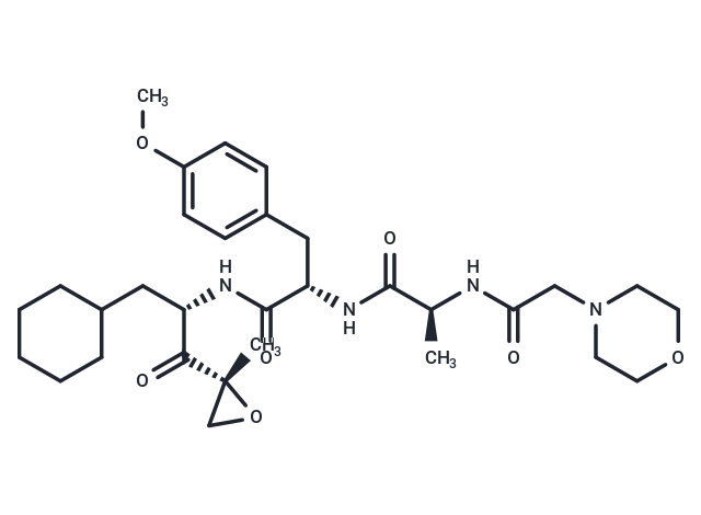 LU-005i