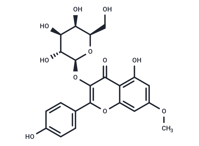 Rhamnocitrin 3-galactoside