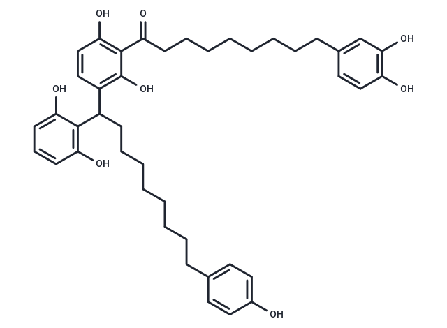 Maingayone B