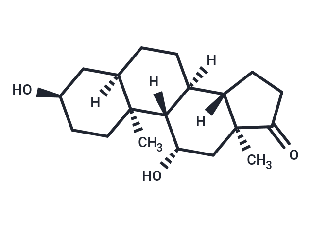 11β-hydroxy Etiocholanolone