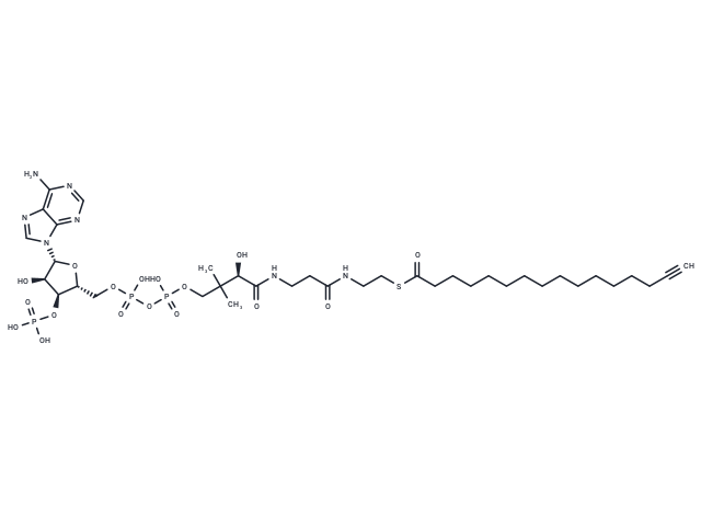 Palmitoyl Alkyne-Coenzyme A