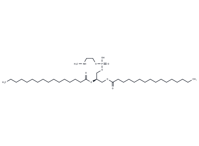 1,2-Dipalmitoyl-sn-glycero-3-N-methyl-PE