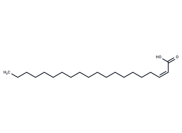 Δ2-cis Eicosenoic Acid