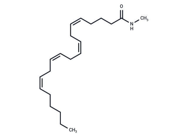 Arachidonoyl-N-methyl amide