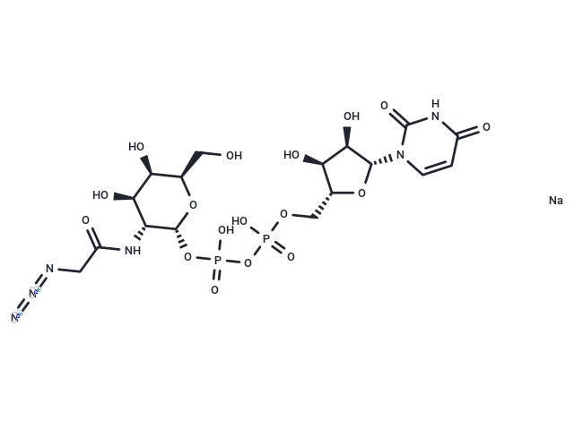 UDP-GalNAz disodium