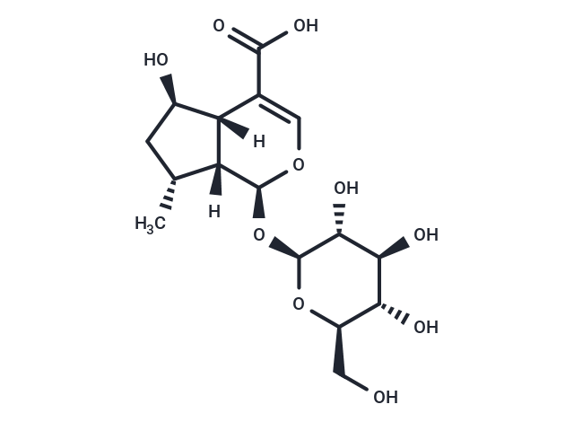 8-Dehydroxyshanzhiside