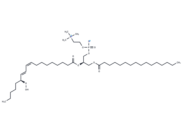 1-Palmitoyl-2-13(S)-HpODE-sn-glycero-3-PC