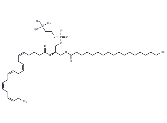 1-Stearoyl-2-Eicosapentaenoyl-sn-glycero-3-PC