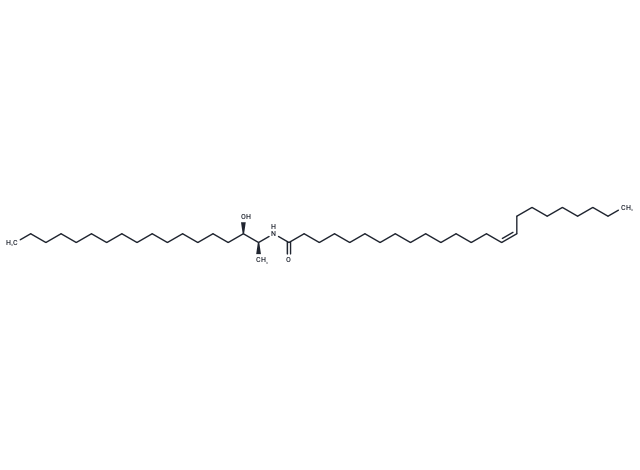 C24:1 dihydro 1-Deoxyceramide (m18:0/24:1)