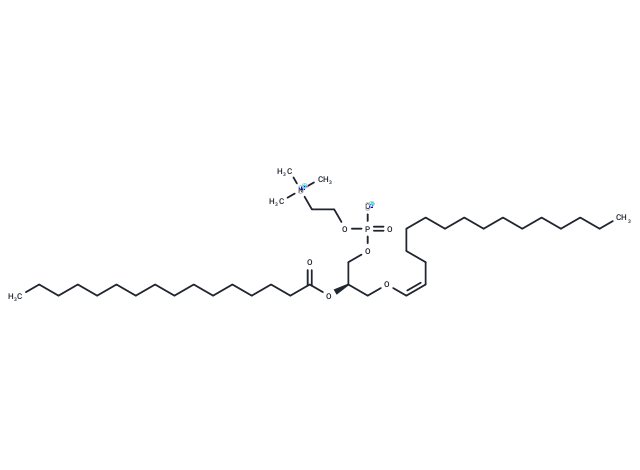 1-1(Z)-Hexadecenyl-2-Palmitoyl-sn-glycero-3-PC