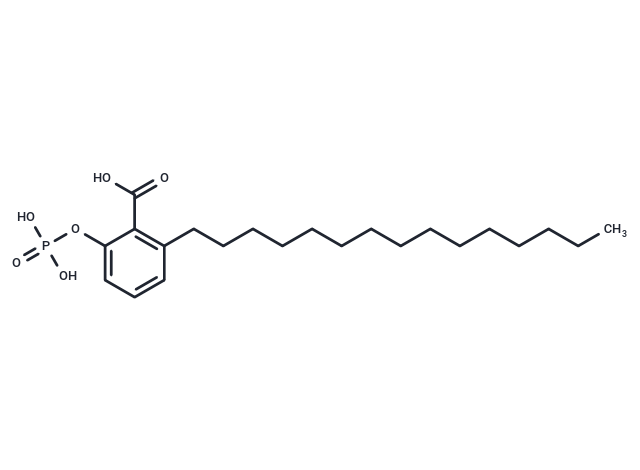 Ginkgolic acid 2-phosphate