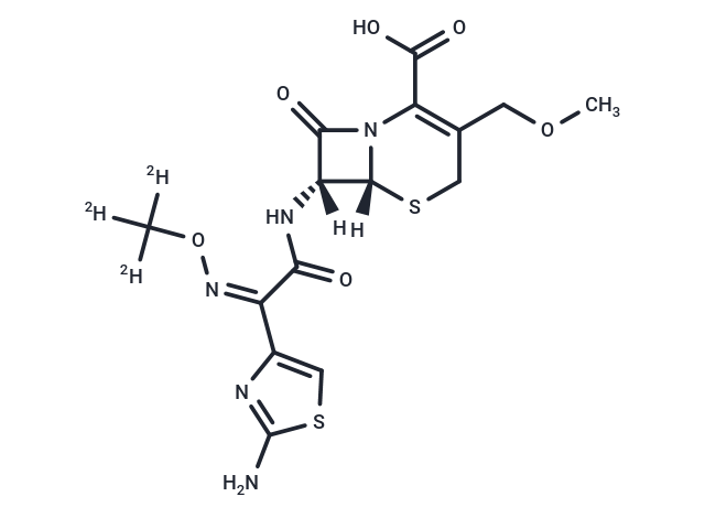 Cefpodoxime-d3 Acid