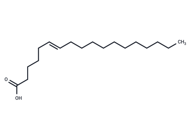 trans-Petroselinic Acid
