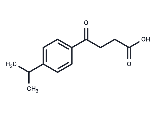 UBTR008295a