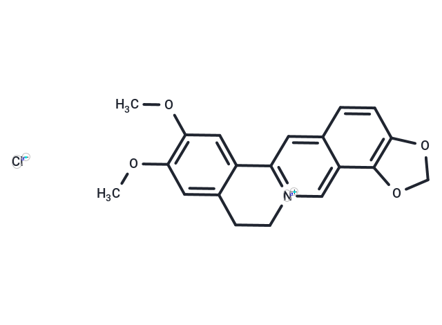 Epiberberine chloride