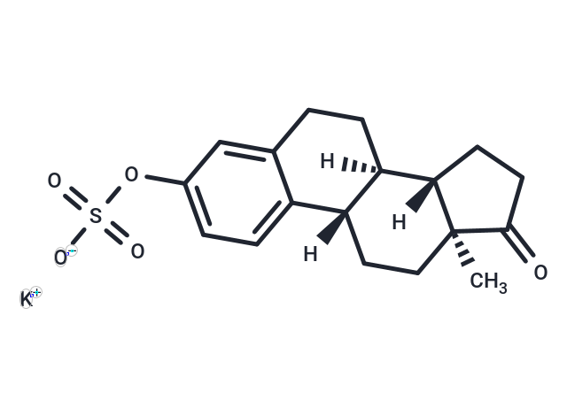 Estrone sulfate potassium