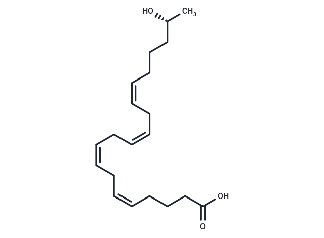 19(R)-HETE