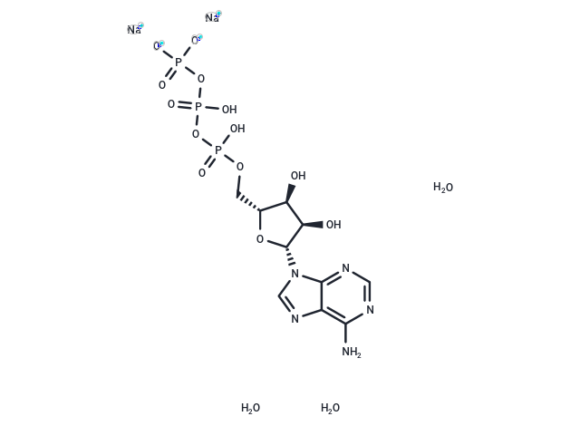 ATP disodium trihydrate