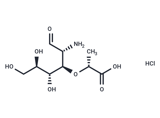 Muramic acid HCl