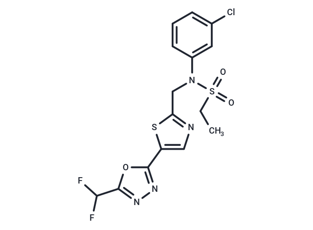 TYA-018