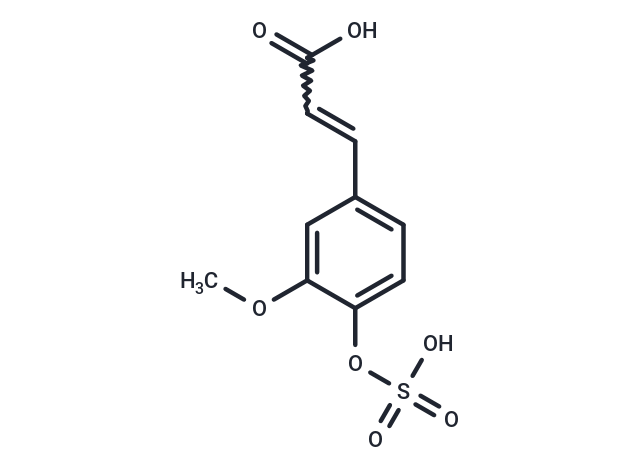 Ferulic acid 4-O-sulfate