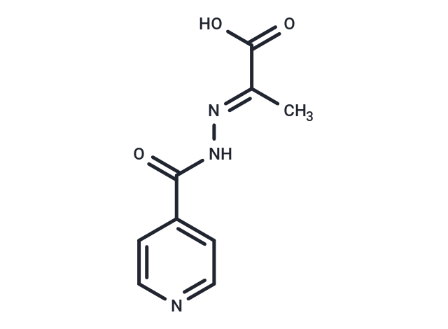 Isoniazid pyruvate