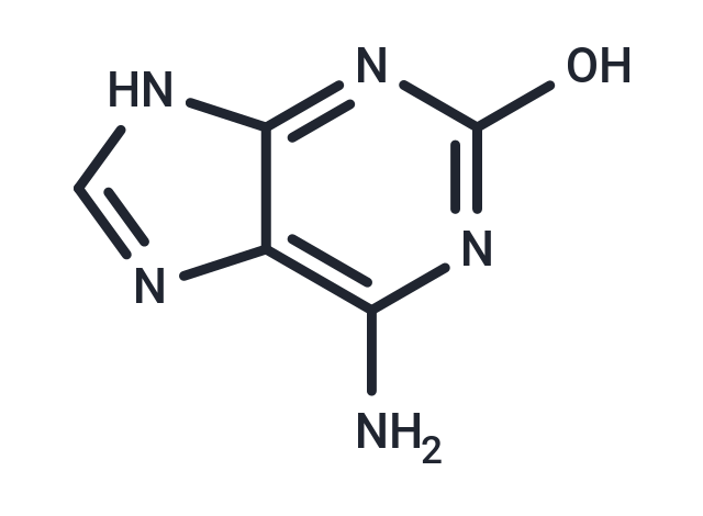 Isoguanine