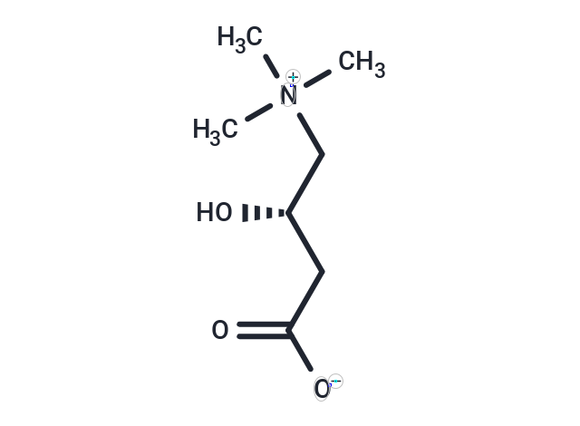 L-Carnitine