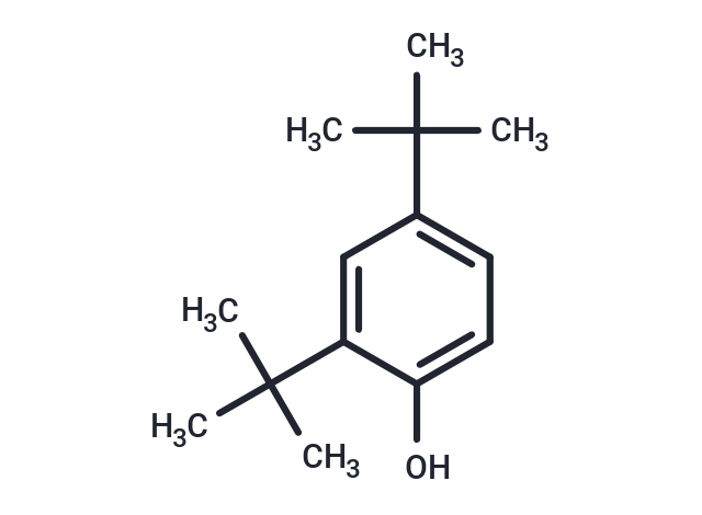 2,4-Di-tert-butylphenol