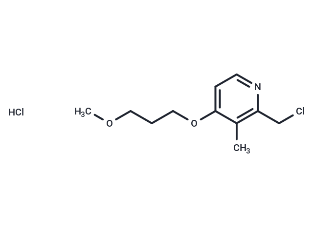 2-(Chloromethyl)-4-(3-methoxypropoxy)-3-methylpyridine hydrochloride