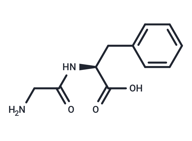 Glycyl-L-phenylalanine