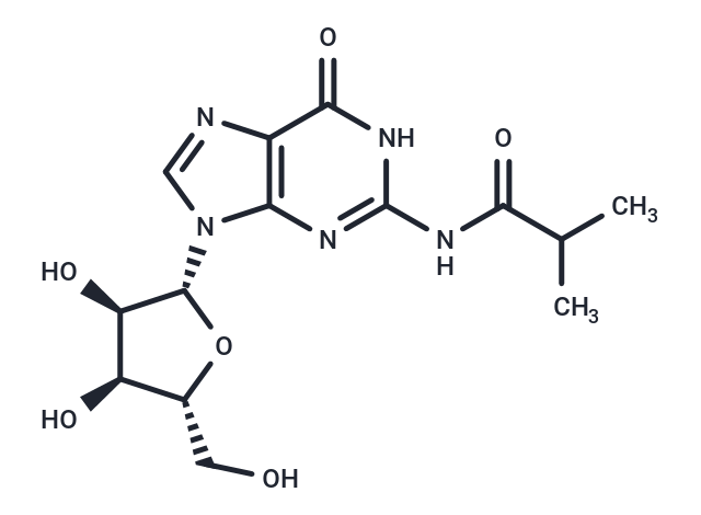 N2-iso-Butyryl   guanosine