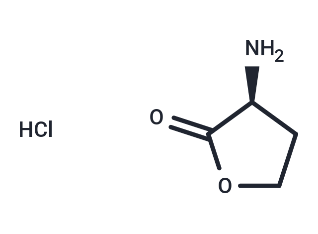 L-Homoserine lactone (hydrochloride)