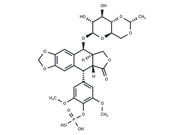 Etoposide Phosphate