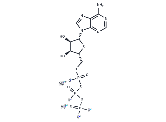 ATP dimagnesium