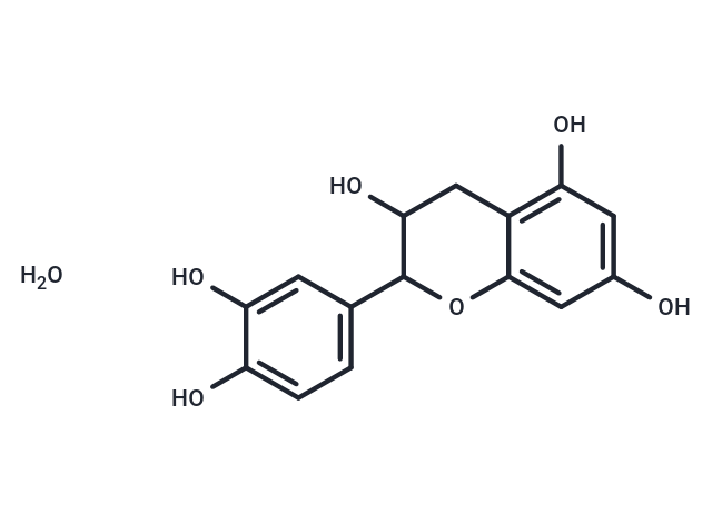 (+)-Catechin Hydrate