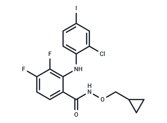 CI-1040