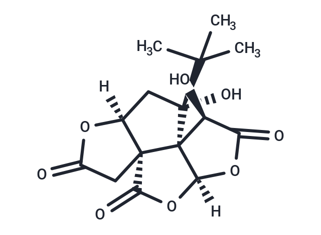 Bilobalide