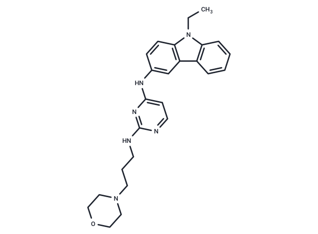 EHop-016