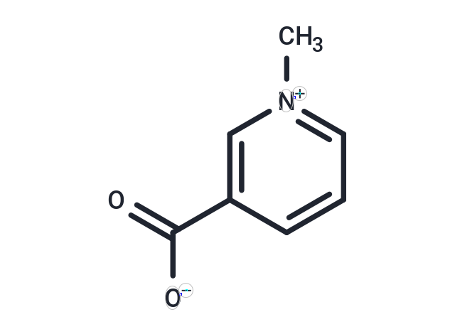 Trigonelline