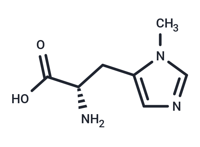 3-Methyl-L-histidine [368-16-1]